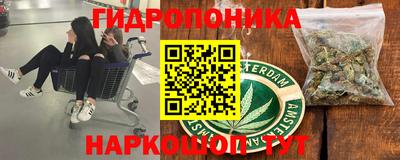 трава Новозыбков