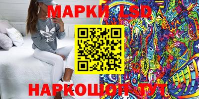 трава Новозыбков