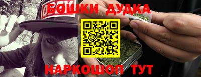 spice Новодвинск