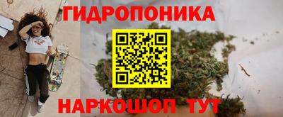 круглые Новокубанск