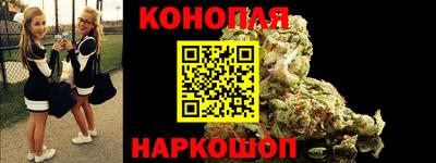 spice Новодвинск