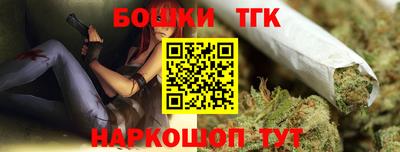 spice Новодвинск