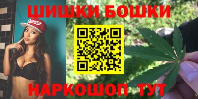 spice Новодвинск