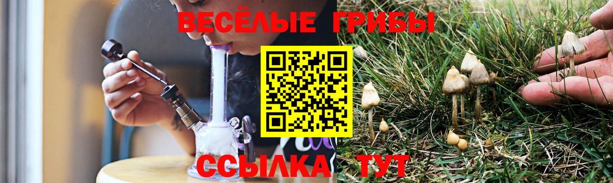 Псилоцибиновые грибы Psilocybine cubensis Сертолово