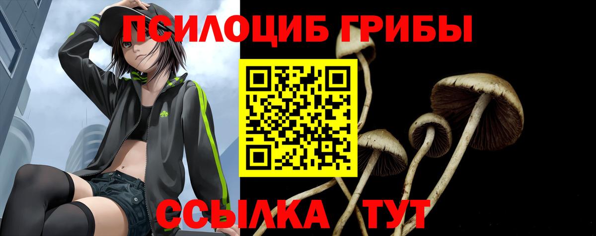 Псилоцибиновые грибы Psilocybine cubensis  Псилоцибиновые грибы Psilocybine cubensis  Сертолово  Вход с VPN 